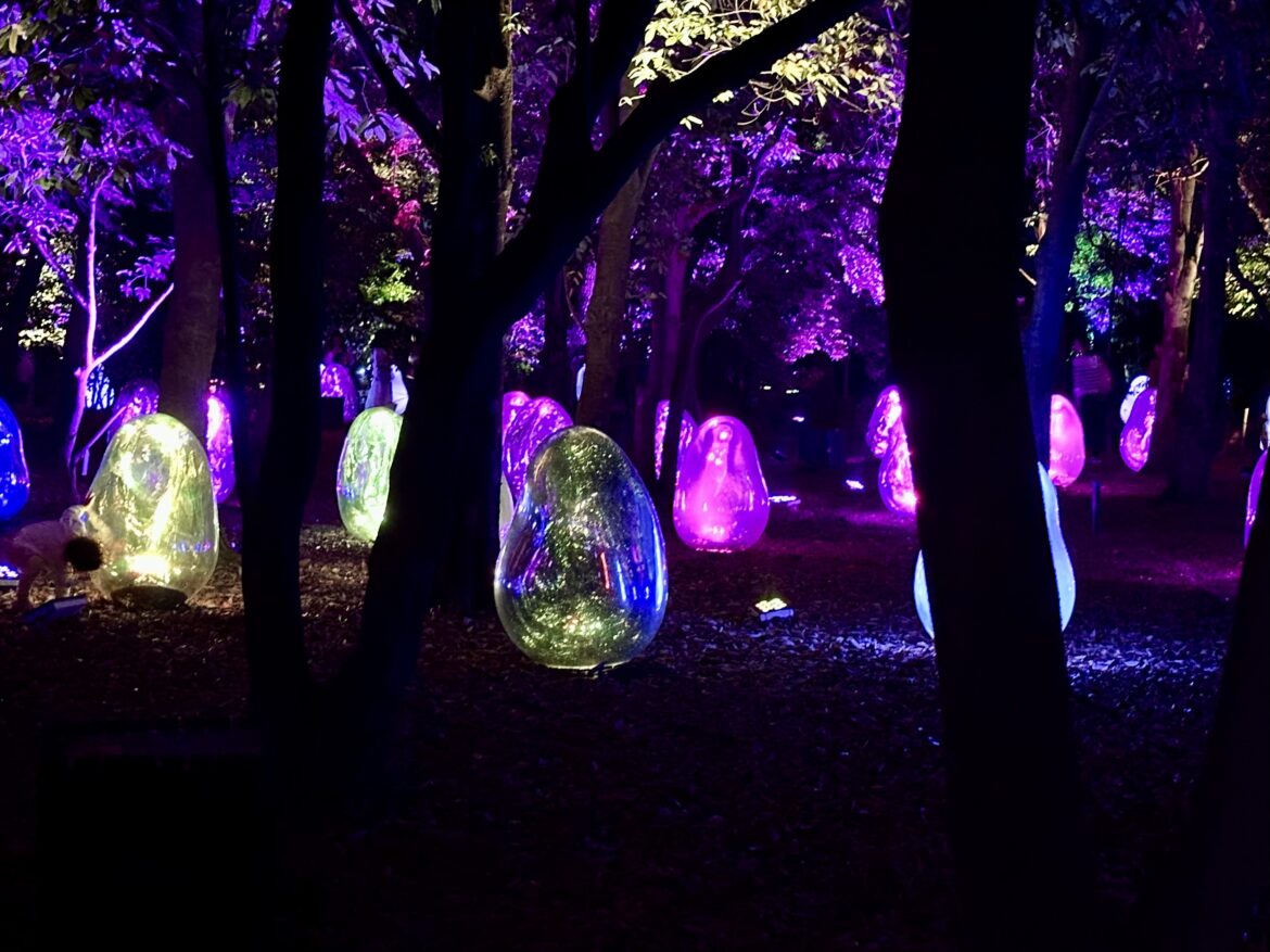 Jardin botanique Teamlab d’Osaka