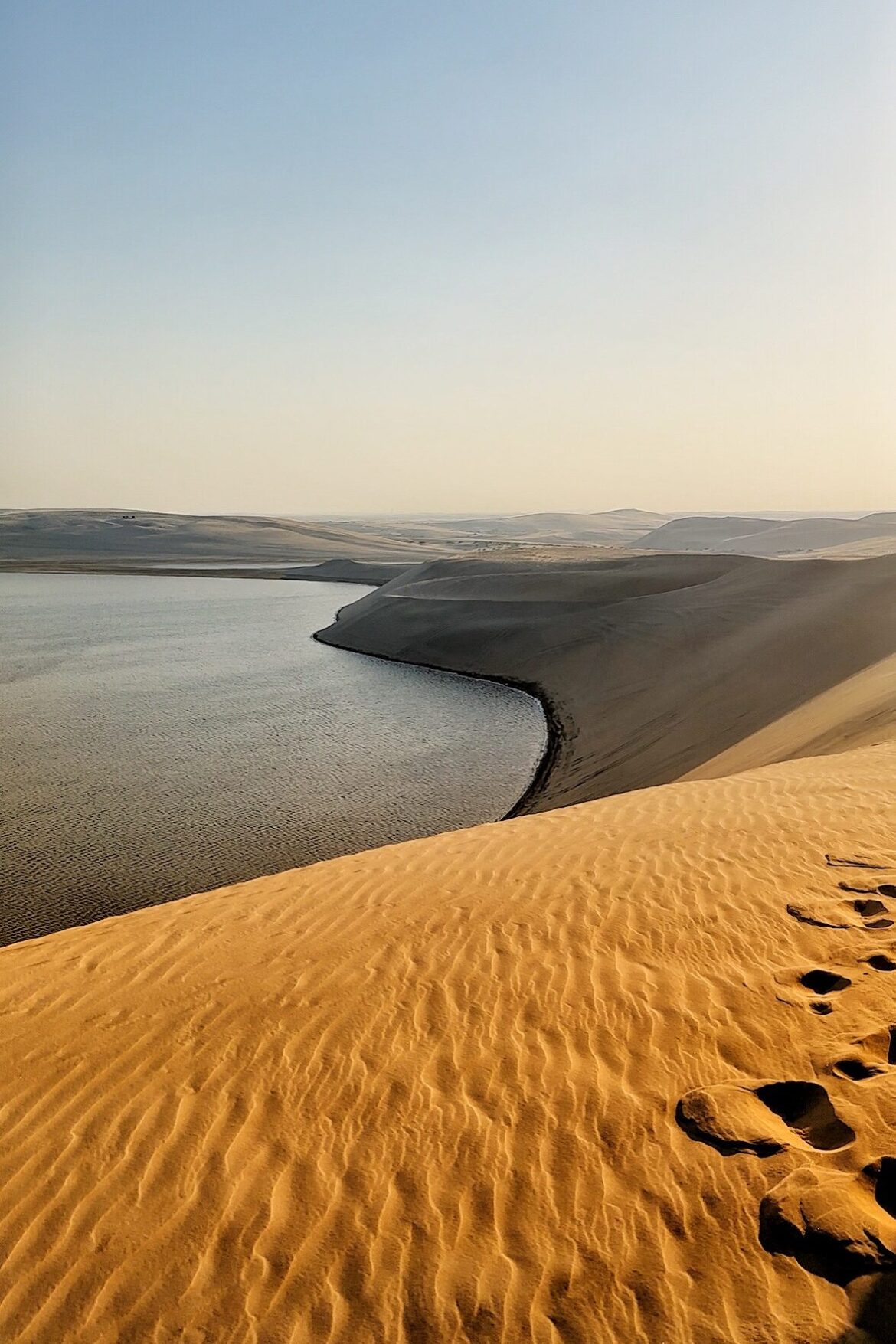 Désert Safari au Qatar